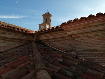 Réfection de la Collégiale SAINT MARTIN à L'ISLE JOURDAIN